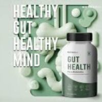 Gut Health Supplements - 7 Powerful Benefits!