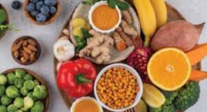 Erecting a Holistic Gut Wellness Plan