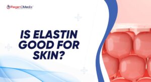 What Makes Elastin Important for Skin Health